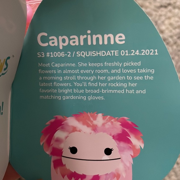 Squishmallows Caparinne clip NWT - Picture 3 of 3